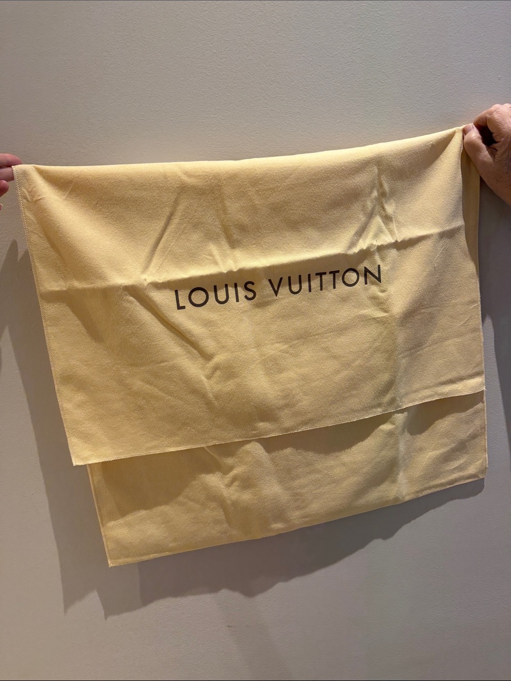 Louis Vuitton XL Dust Bag
